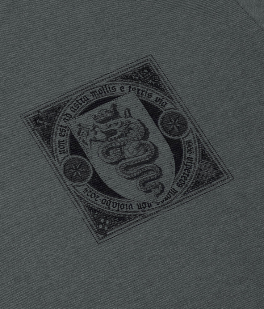 1966 ✮✮ 2024 T-shirt stampata
