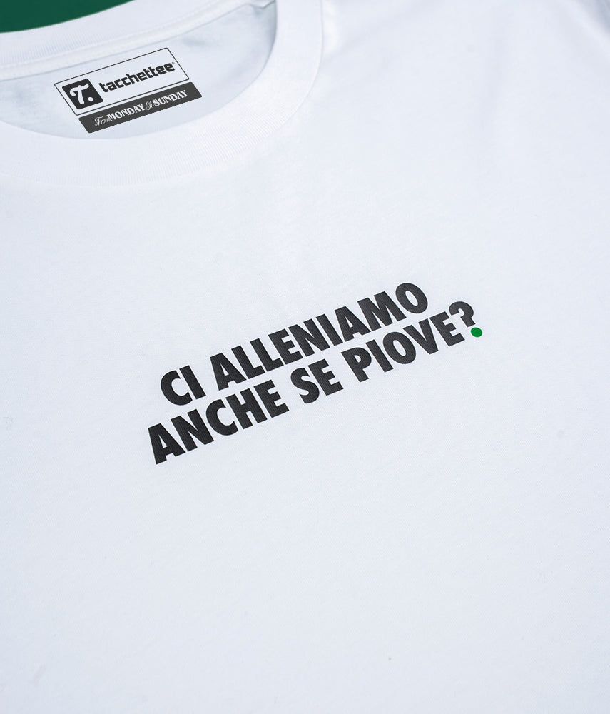 scatola-pizza-tacchettee-t.jpg