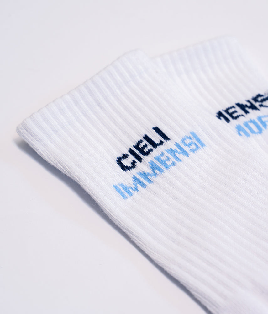 IMMENSE SKIES IMMENSE LOVE Socks