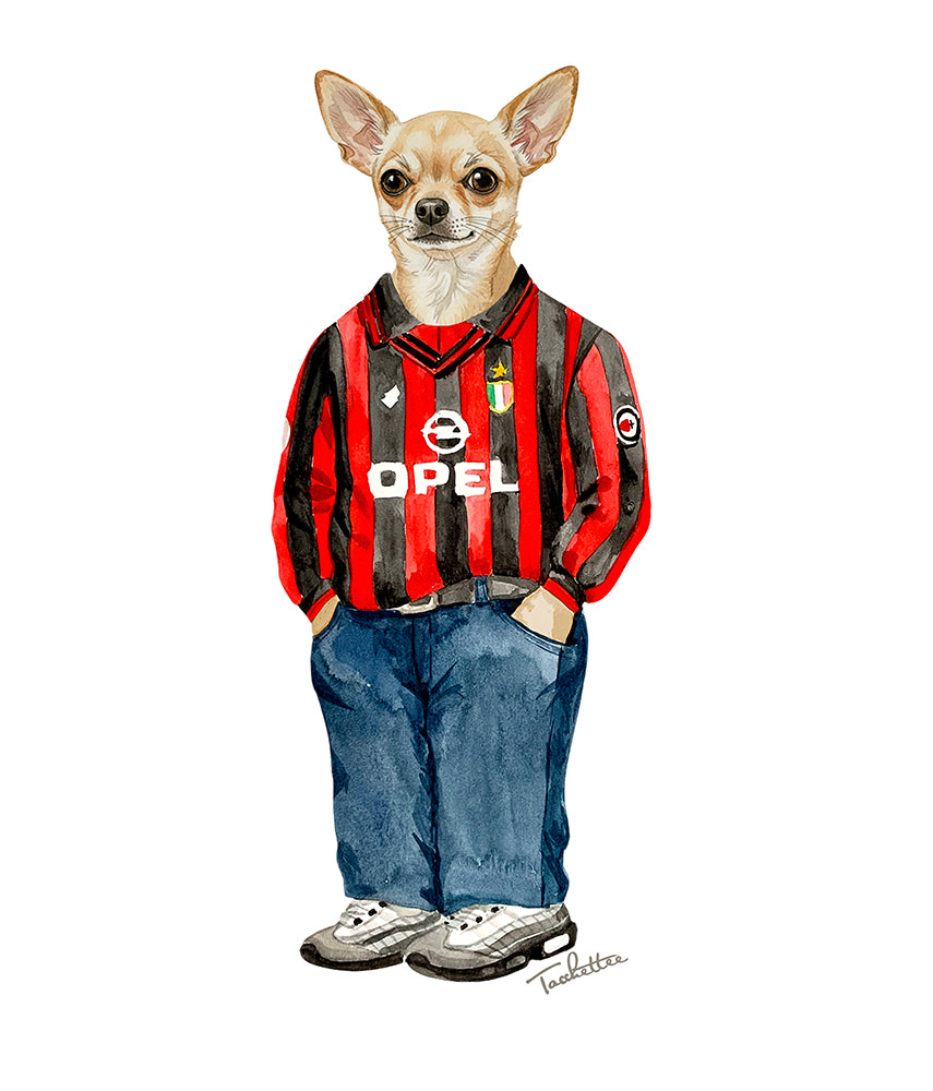 IL CHIHUAHUA Felpa cappuccio