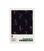 scatola-pizza-tacchettee-t.jpg