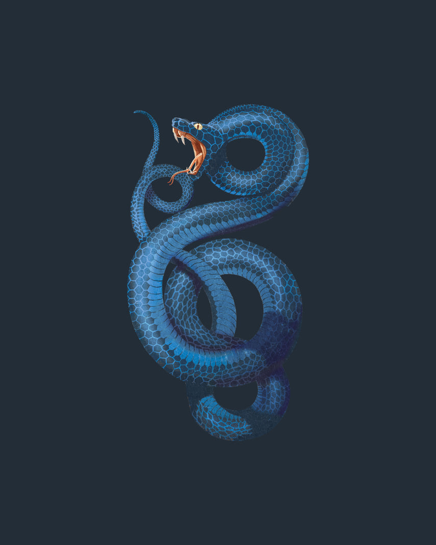 NELLA BOLGIA NERAZZURRA Costume