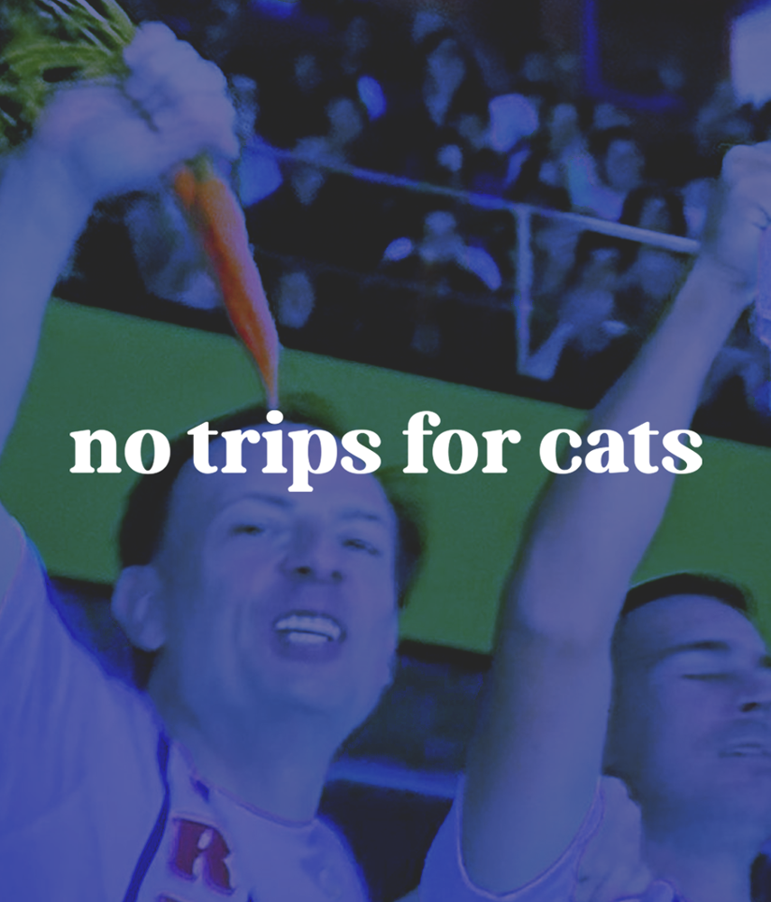 NO TRIPS FOR CATS Felpa cappuccio