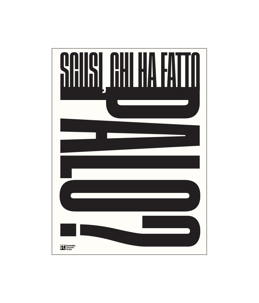 CHI HA FATTO PALO? Poster