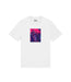 scatola-pizza-tacchettee-t.jpg