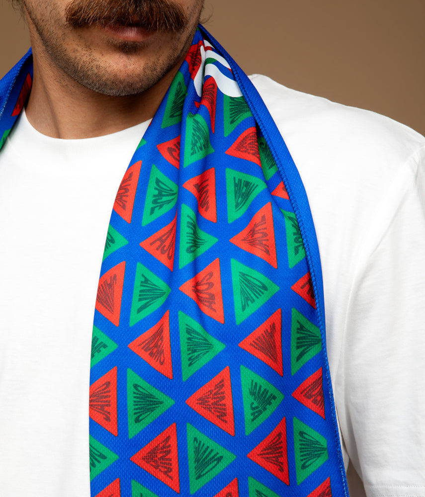 LET'S JOIN US IN COHORT Italy FIGC Scarf