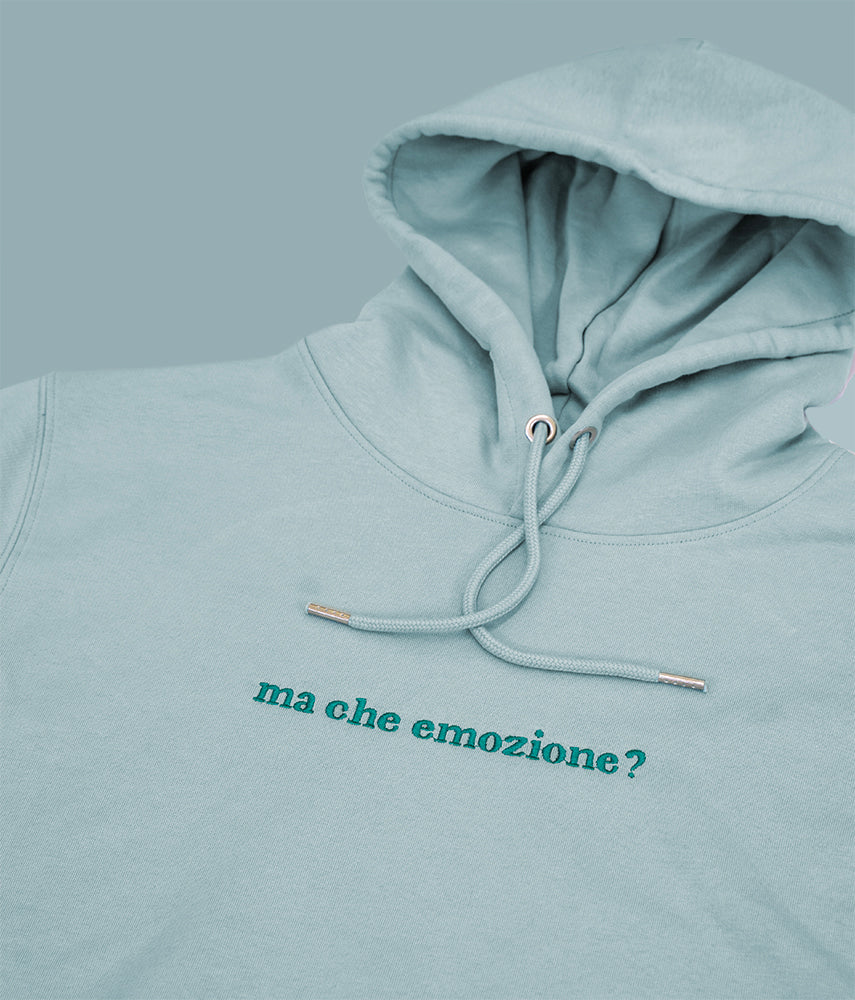 BUT WHAT EMOTION? Hooded sweatshirt