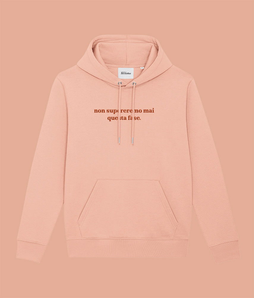 WE WILL NEVER GET OUT OF THIS PHASE Hoodie